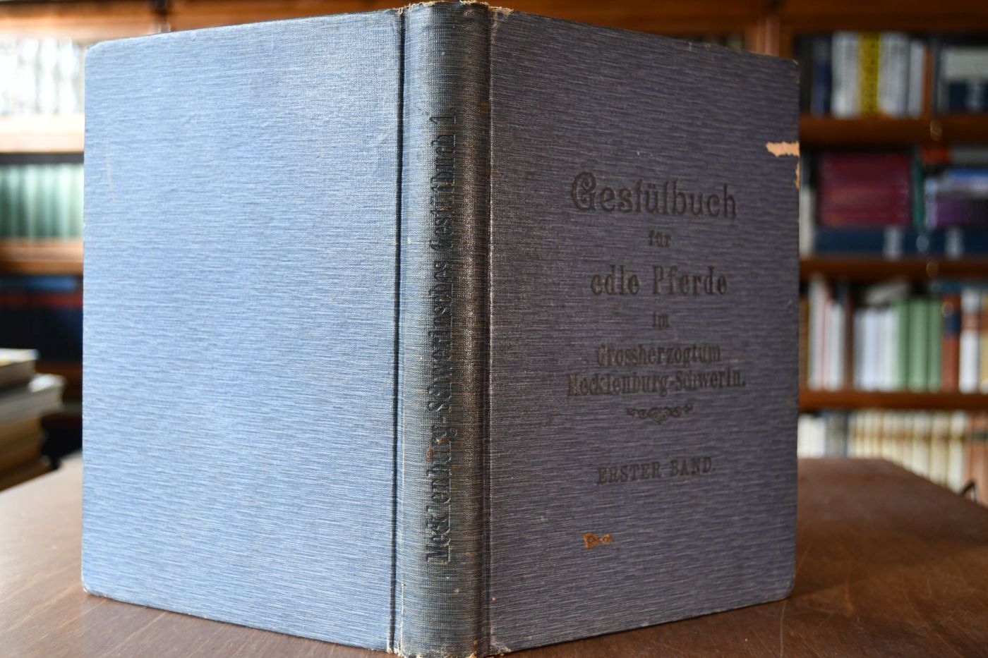 Gestütbuch für edle Pferde im Grossherzogtum Mecvklenburg-Schwerin. 1. Band (apart).