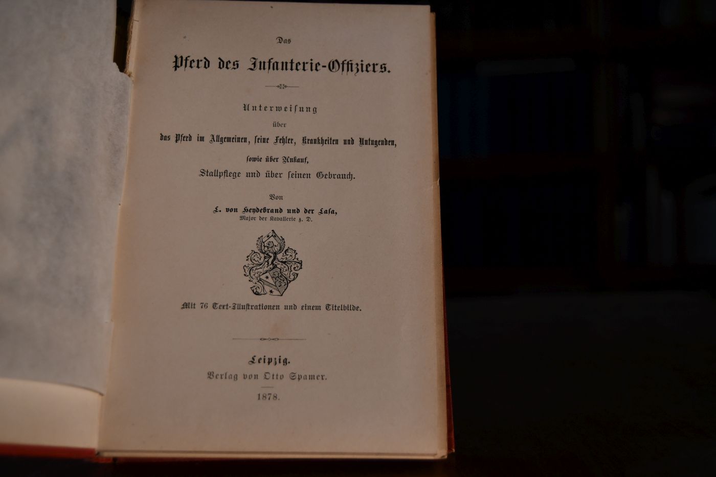 Das Pferd des Infanterie-Offiziers.