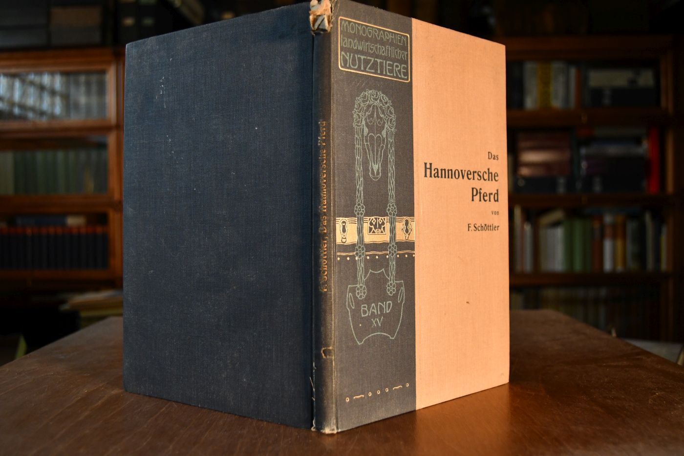 Das Hannoversche Pferd.