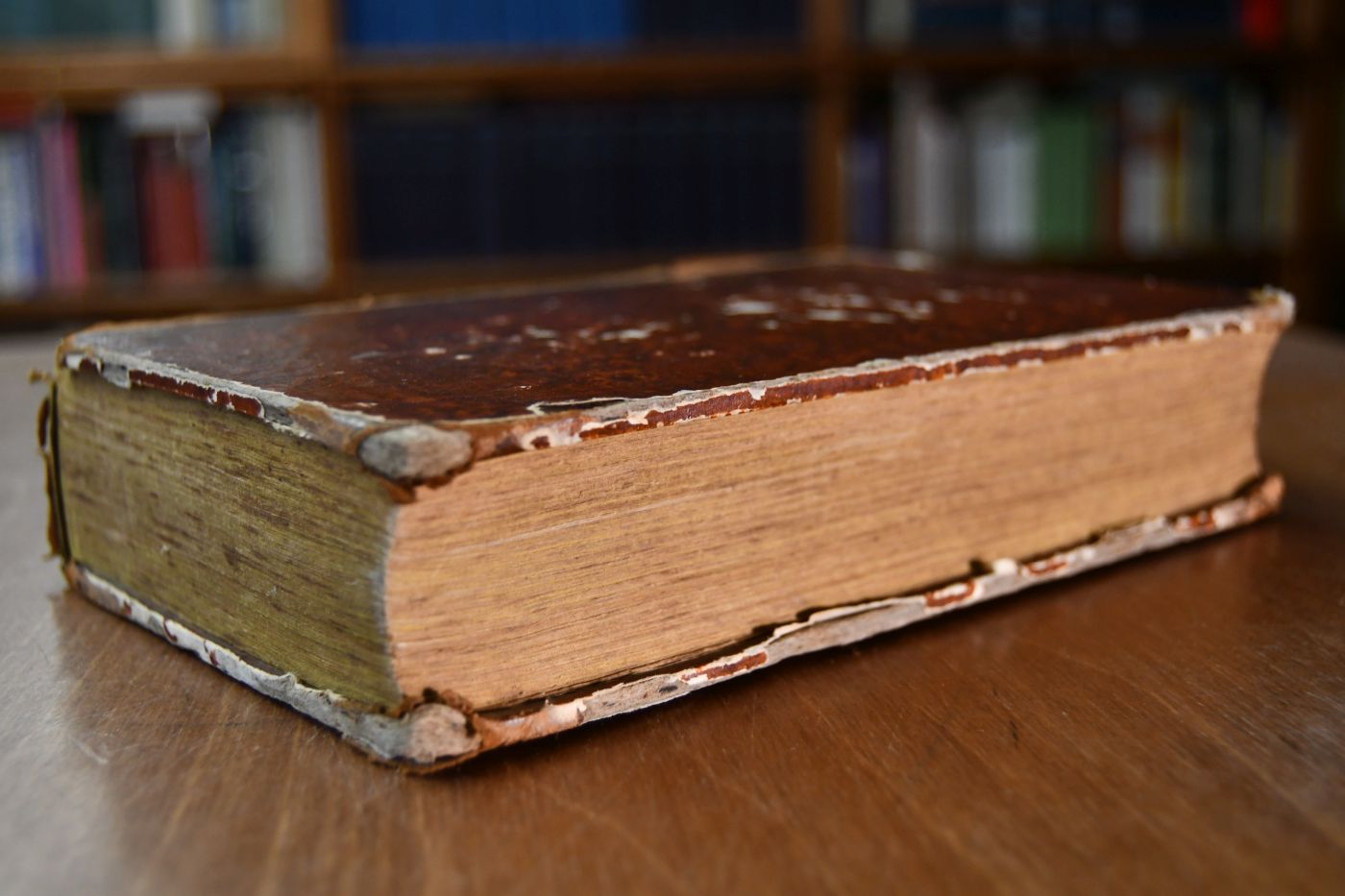 Die Evangelien-Predigten über alle Sonn- und Feiertage, nebst kurzen Betrachtungen über alle Episteln und Reden nach dem allgemeinen Wahrheits-Gefühl. Anhang Die Sittenlehre Salomo in etlichen Predigten vorgestellt.