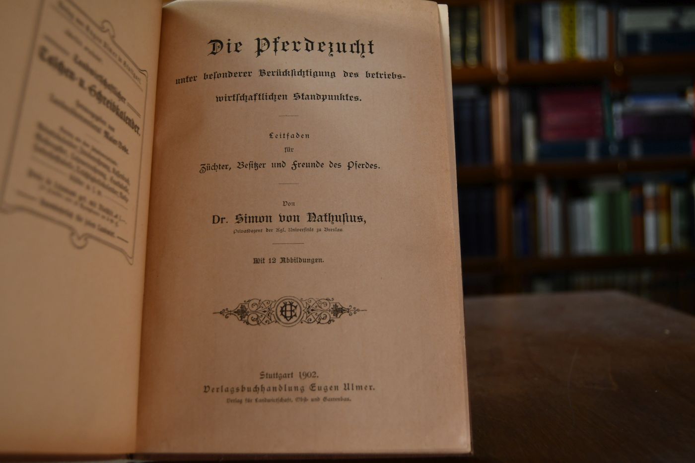 Die Pferdezucht unter besonderer Berücksichtigung des betriebswirtschaftlchen Standpunktes. Leitfaden für Züchter, Besitzer und Freunde des Pferdes.