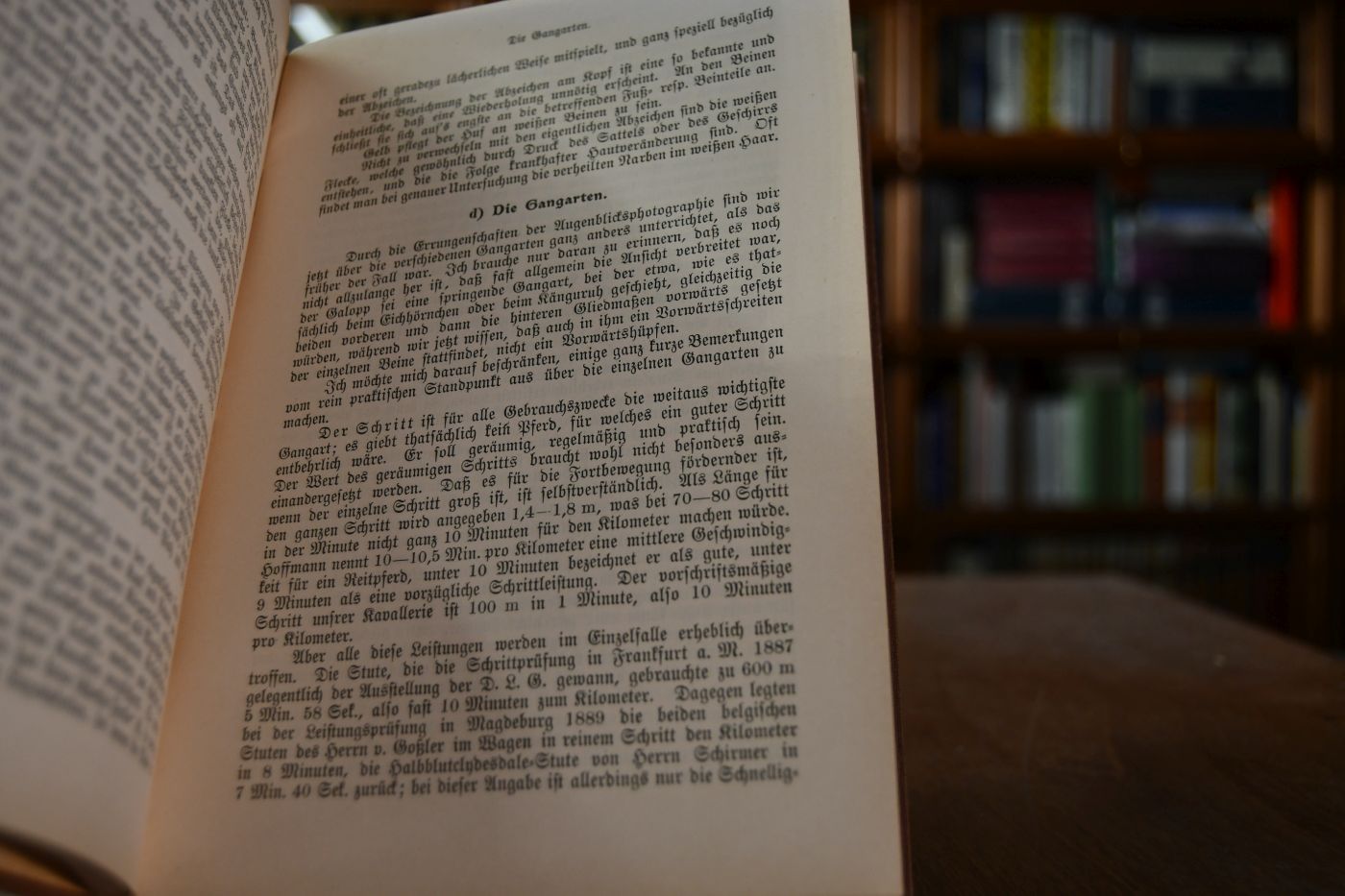 Die Pferdezucht unter besonderer Berücksichtigung des betriebswirtschaftlchen Standpunktes. Leitfaden für Züchter, Besitzer und Freunde des Pferdes.