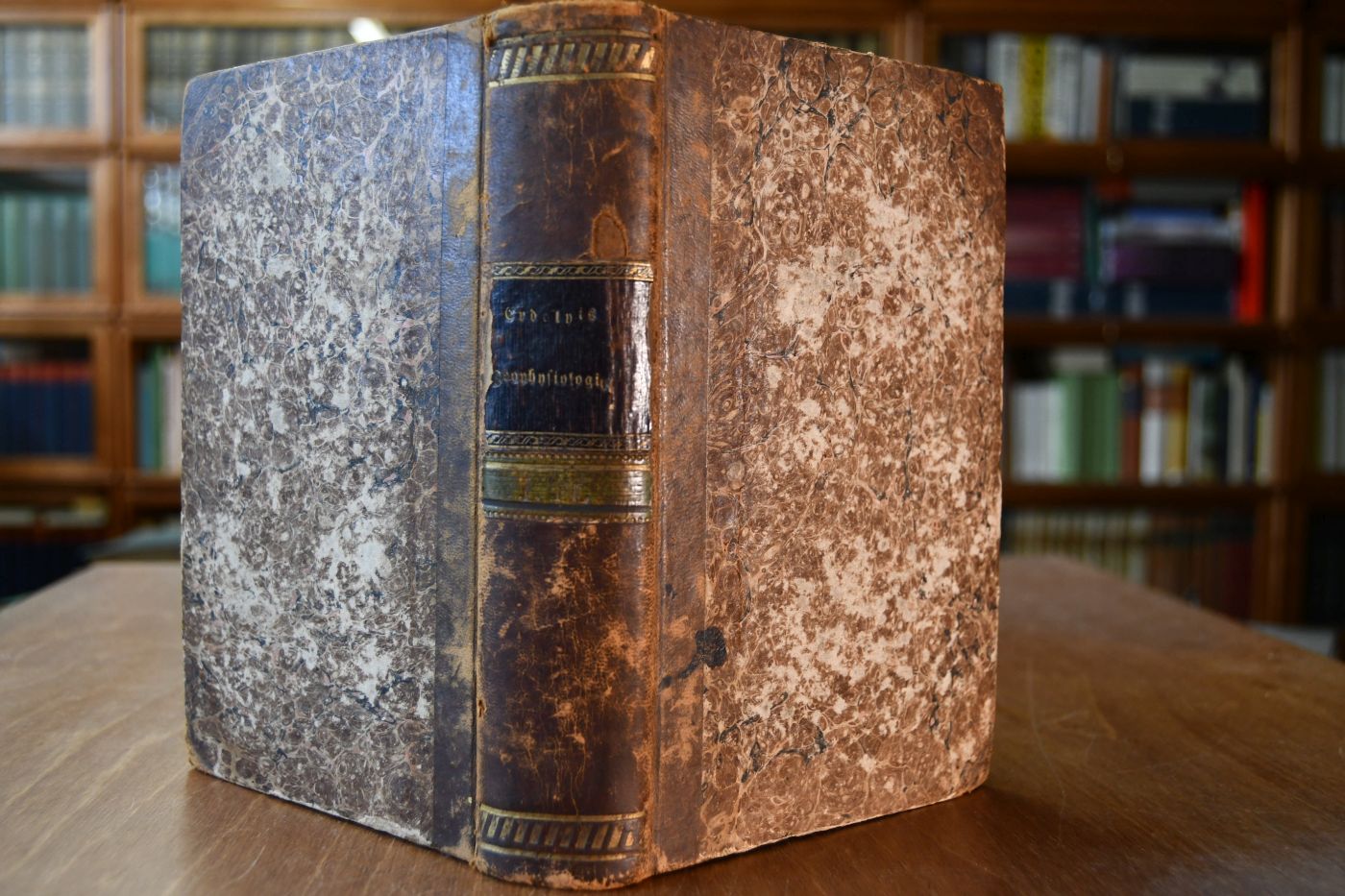Versuch einer Zoophysiologie des Pferdes und der übrigen Haussäugethiere; Nebst einer Skizze der vorzüglichsten österreichischen Pferde-Racen und Gestüte. ALs Handbuch für angehende Thierärzte und Oekonomen bearbeitet. Beigebunden Konrad Ludwig Schwab, Entwurf einer allgemeinen Pathologie der Hausthiere. Zur Grundlage seiner Vorlesungen an der königlich-baierischen Central-Veterinär-Schule in München, München, Josef A. Finsterlin, 1823, VIII, 142 S.