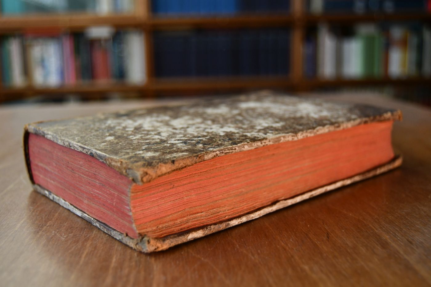 Versuch einer Zoophysiologie des Pferdes und der übrigen Haussäugethiere; Nebst einer Skizze der vorzüglichsten österreichischen Pferde-Racen und Gestüte. ALs Handbuch für angehende Thierärzte und Oekonomen bearbeitet. Beigebunden Konrad Ludwig Schwab, Entwurf einer allgemeinen Pathologie der Hausthiere. Zur Grundlage seiner Vorlesungen an der königlich-baierischen Central-Veterinär-Schule in München, München, Josef A. Finsterlin, 1823, VIII, 142 S.