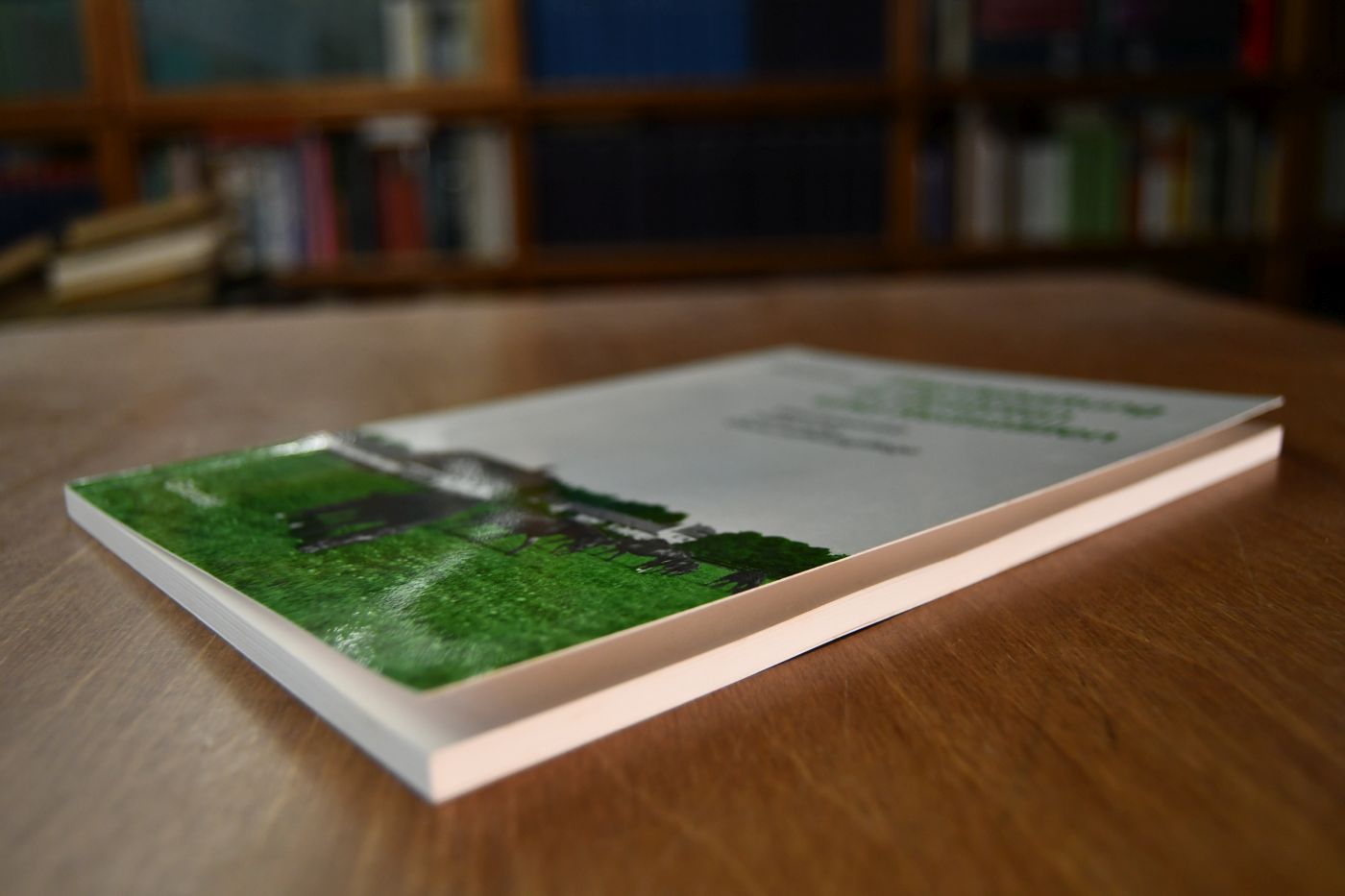 Pferdehaltung in Gestüten und Reitställen. Weidebetrieb, Fütterung, Gesundheitspflege.
