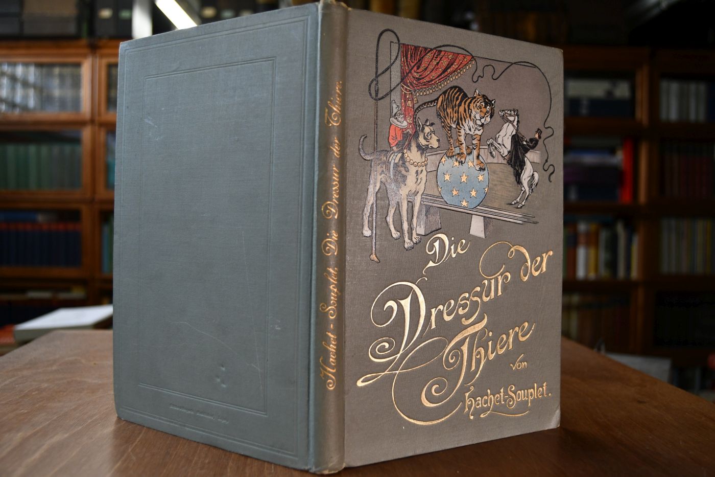 Die Dressur der Thiere mit besonderer Berücksichtigung der Hunde, Affen, Pferde, Elephanten und der wilden Thiere.