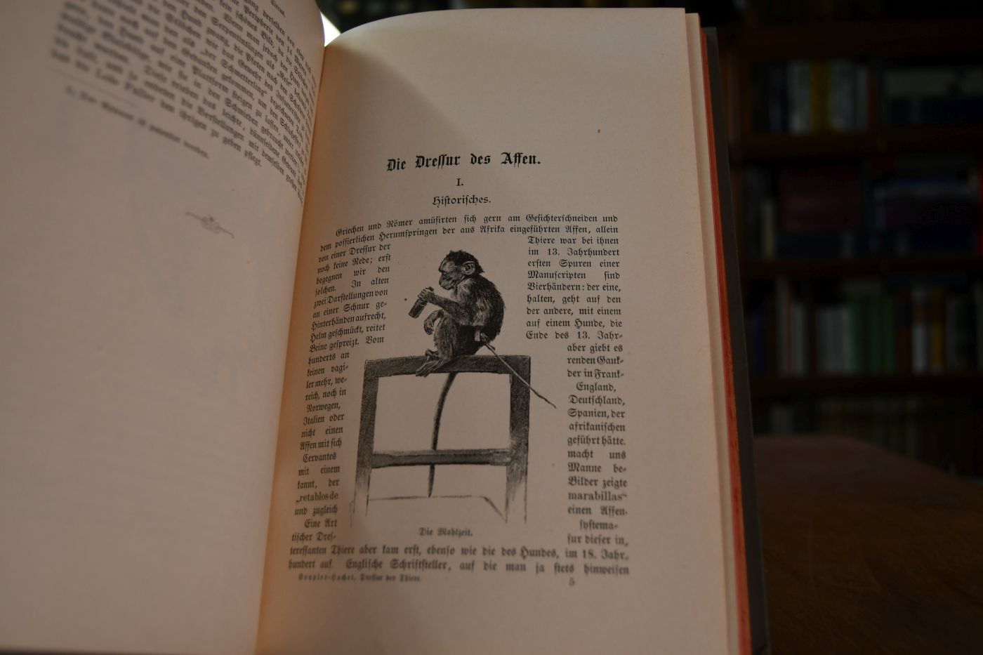 Die Dressur der Thiere mit besonderer Berücksichtigung der Hunde, Affen, Pferde, Elephanten und der wilden Thiere.
