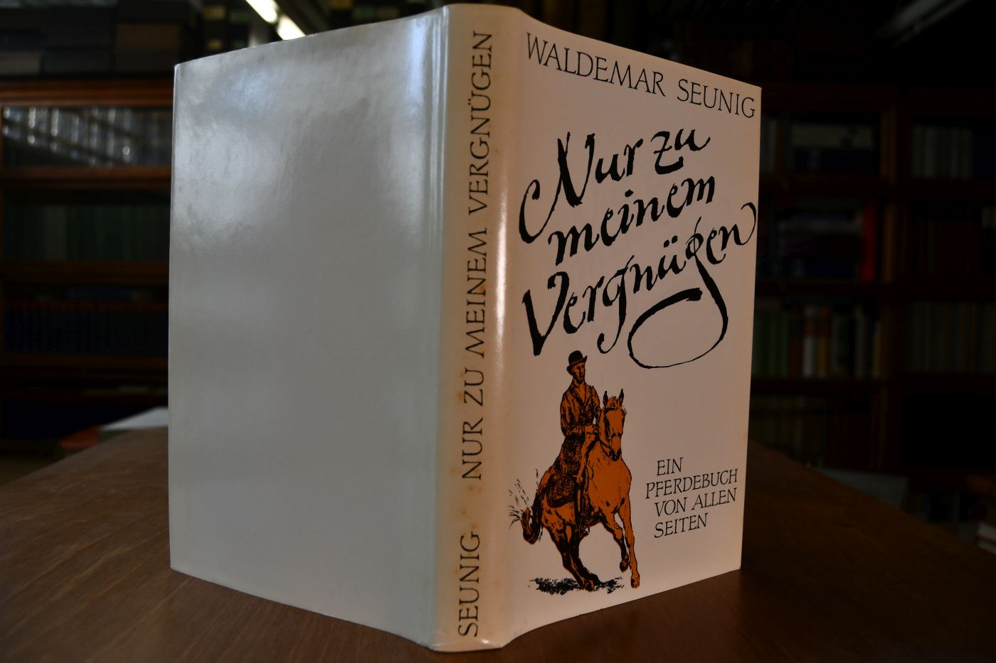 Nur zu meinem Vergnügen. Ein Pferdebuch von allen Seiten.