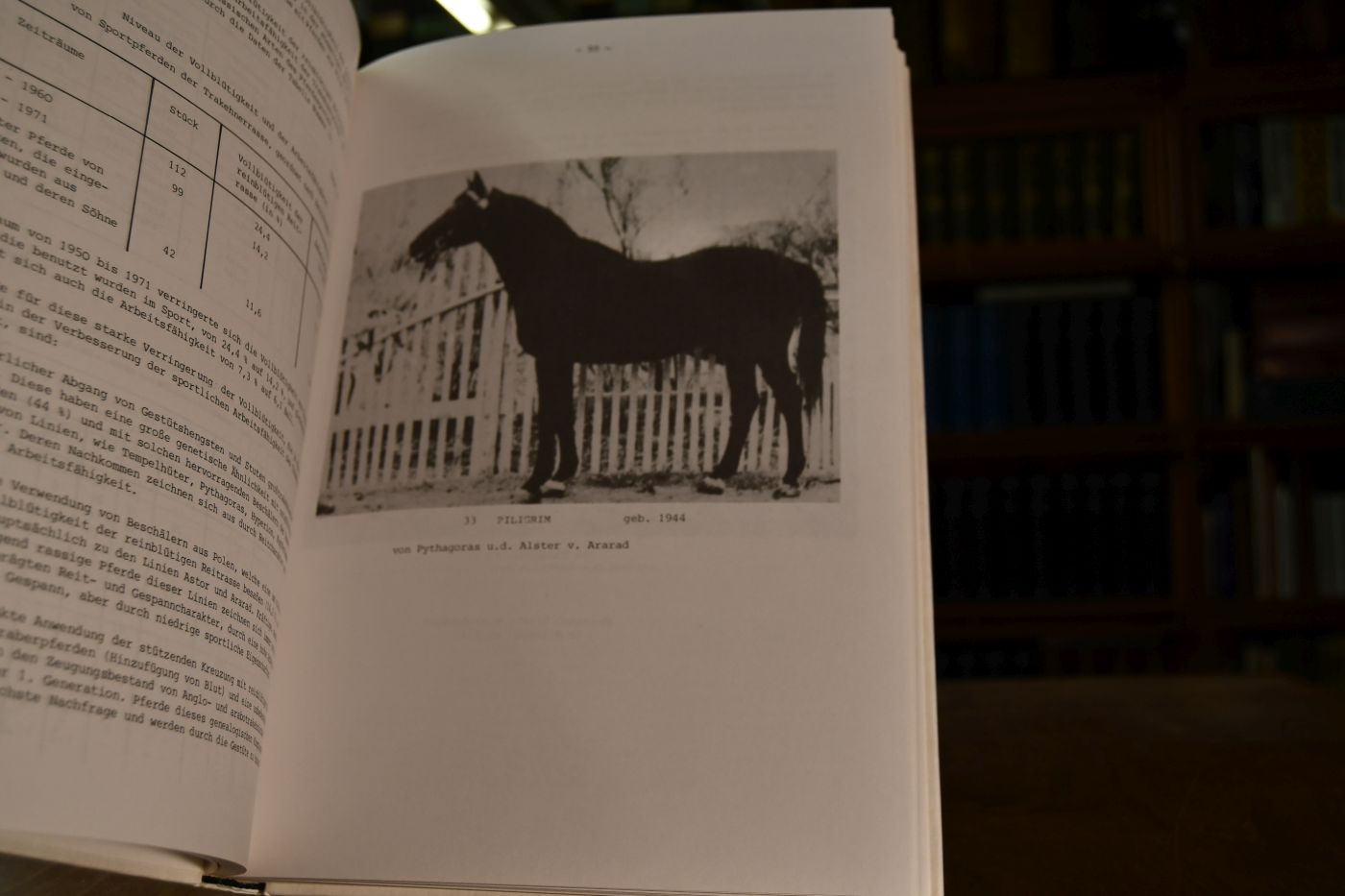 Das Trakehner Stutbuch, Rußland, Kirow 1945 - 1980.