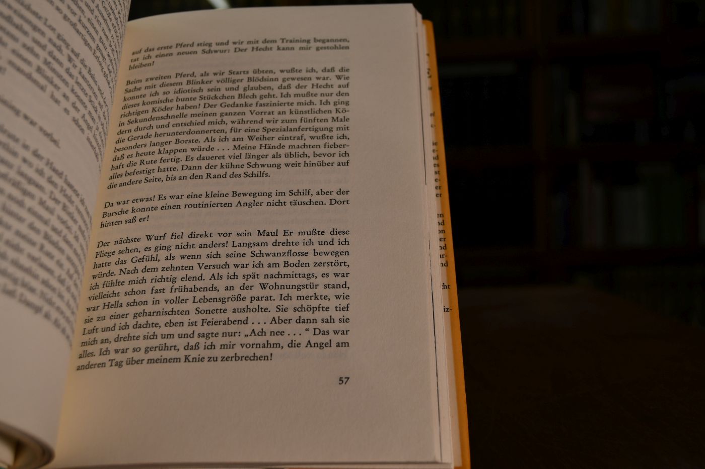 ... und mein Pferd hat gelacht. Mein Leben mit Rennpferden.