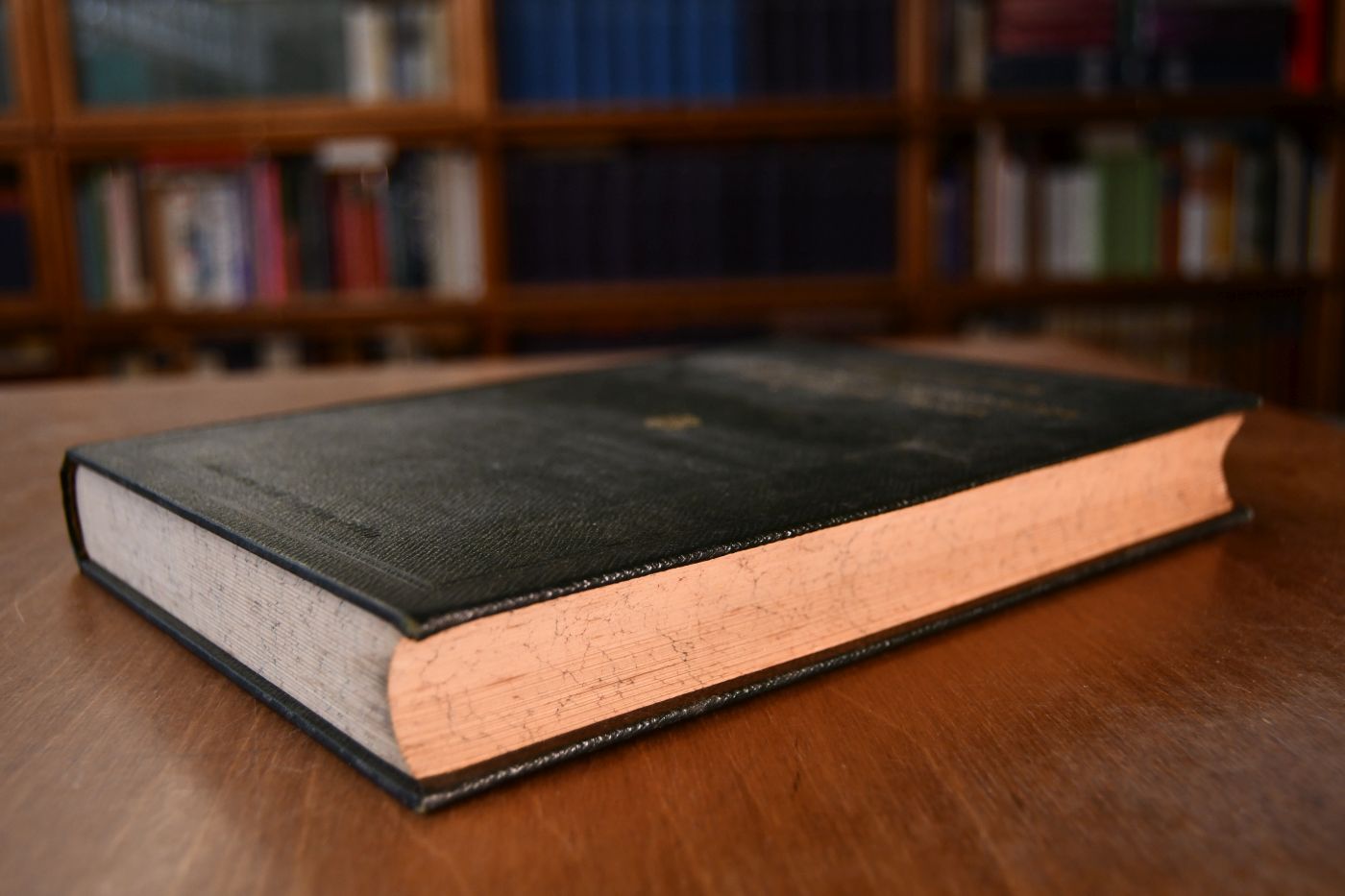 Lehrbuch der Topographischen Anatomie des Pferdes.