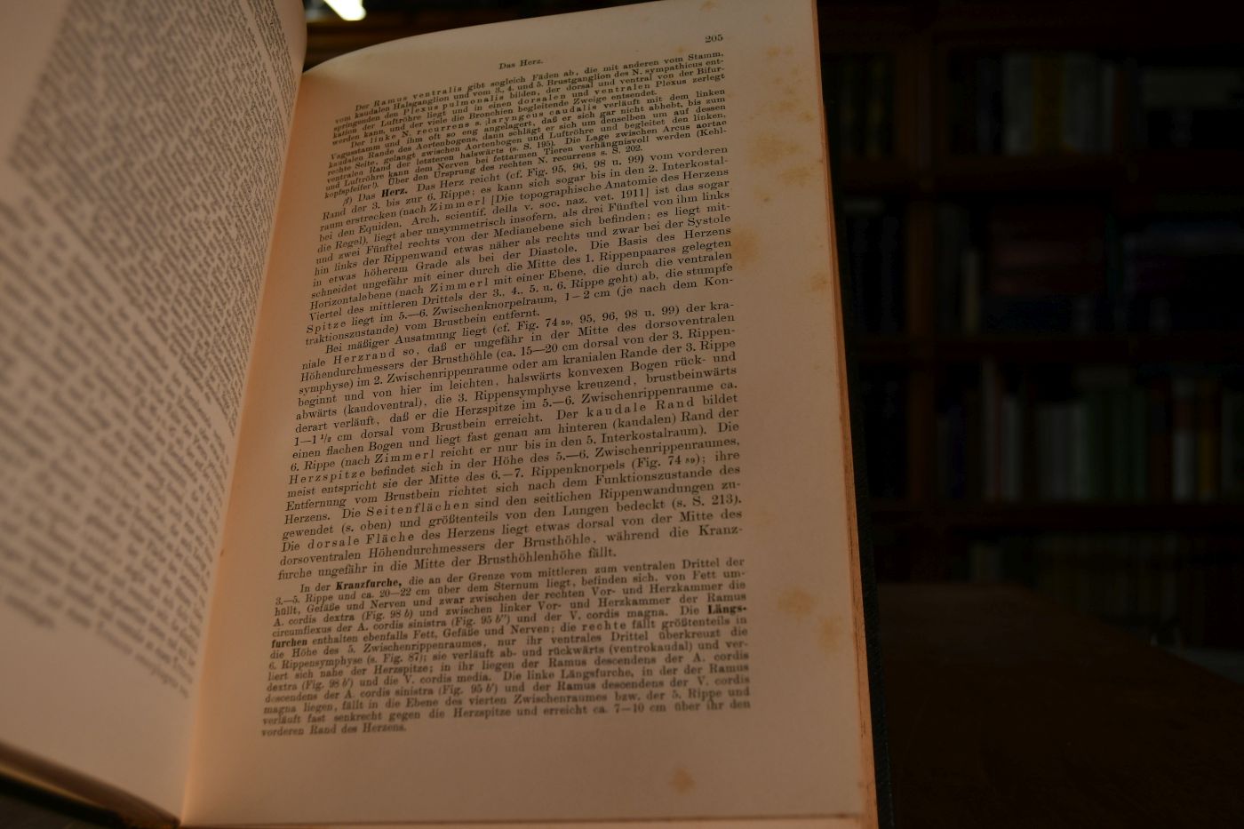 Lehrbuch der Topographischen Anatomie des Pferdes.