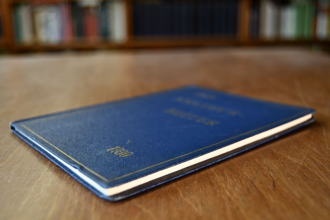 Der Amateur-Reiter 1930. Offizielles Handbuch für den Amateur-Rennreitsport.