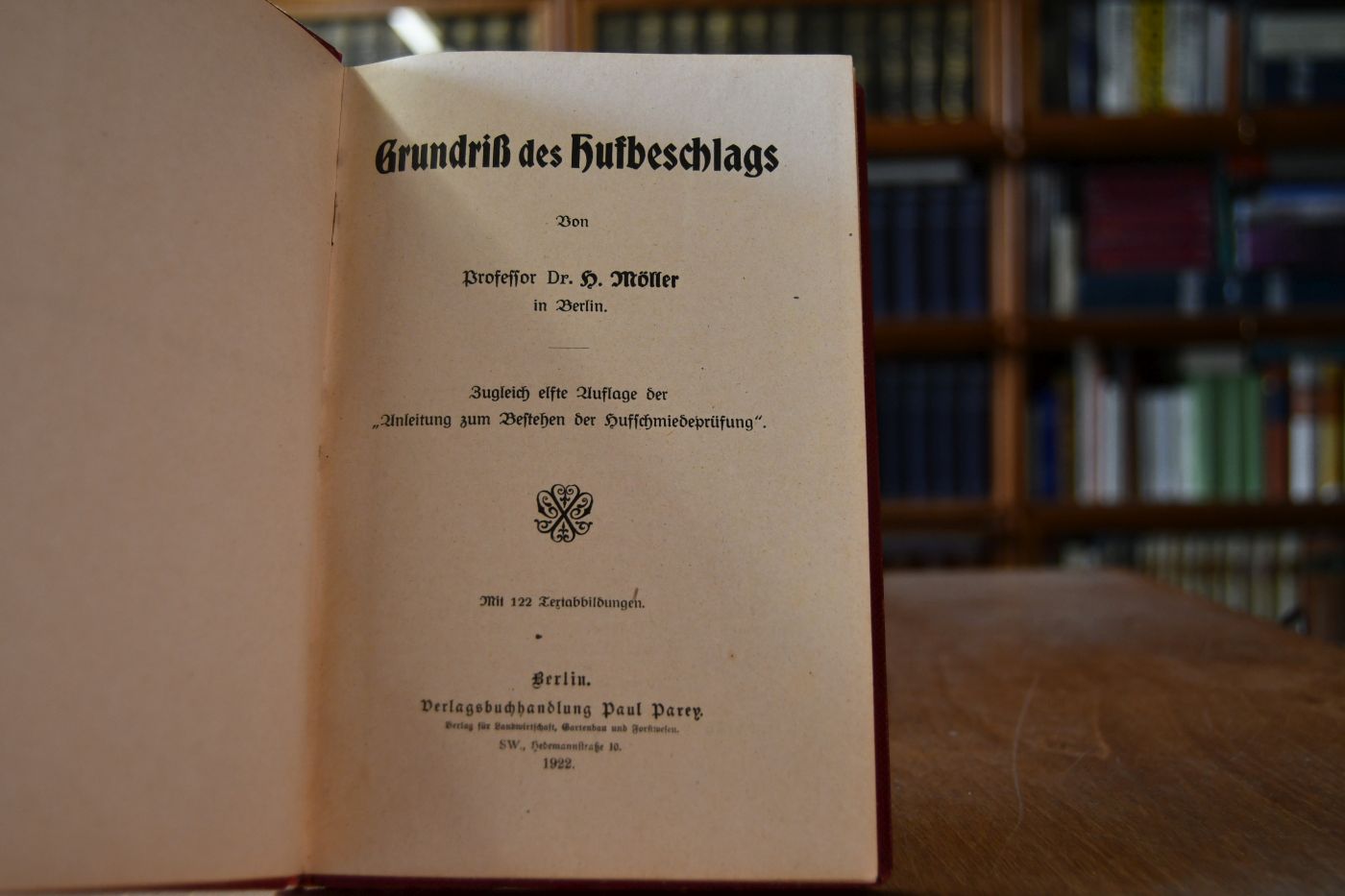 Grundriß des Hufbeschlags.