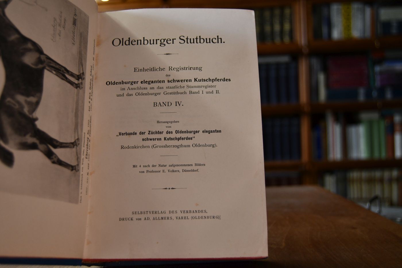 Oldenburger Stutbuch. Einheitliche Registrierung des Oldenburger eleganten schweren Kutschpferdes. im Anschluss an das staatliche Stammregister und das Oldenburger Gestütbuch Band I und II. Band IV.