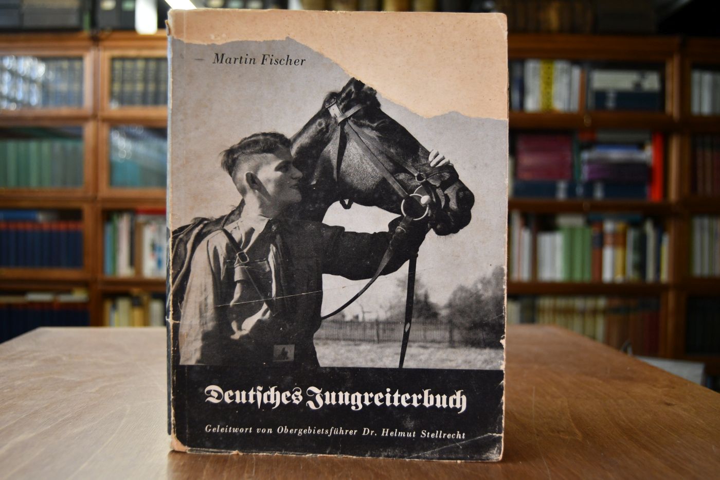 Deutsches Jungreiterbuch.