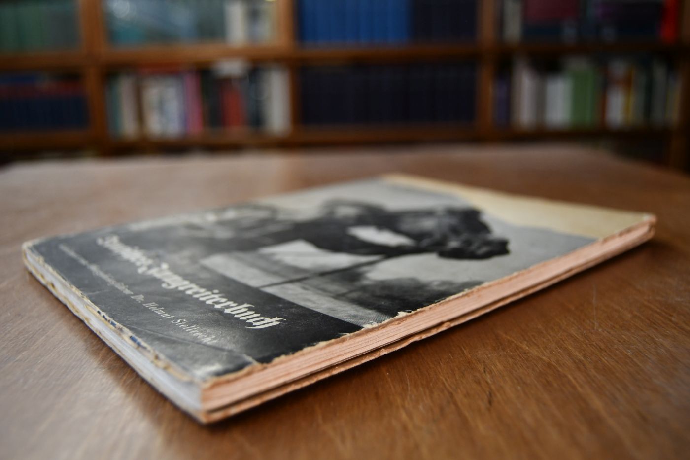 Deutsches Jungreiterbuch.