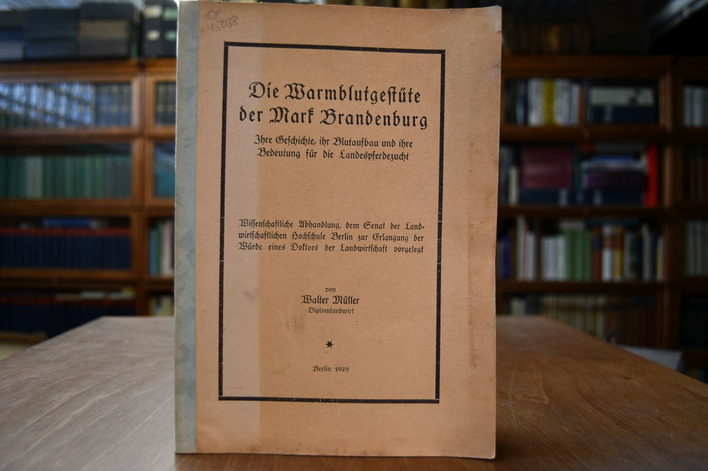 Die Warmblutgestüte der Mark Brandenburg. Ihre Geschichte, ihr Blutaufbau und ihre Bedeutung für die Landespferdezucht.