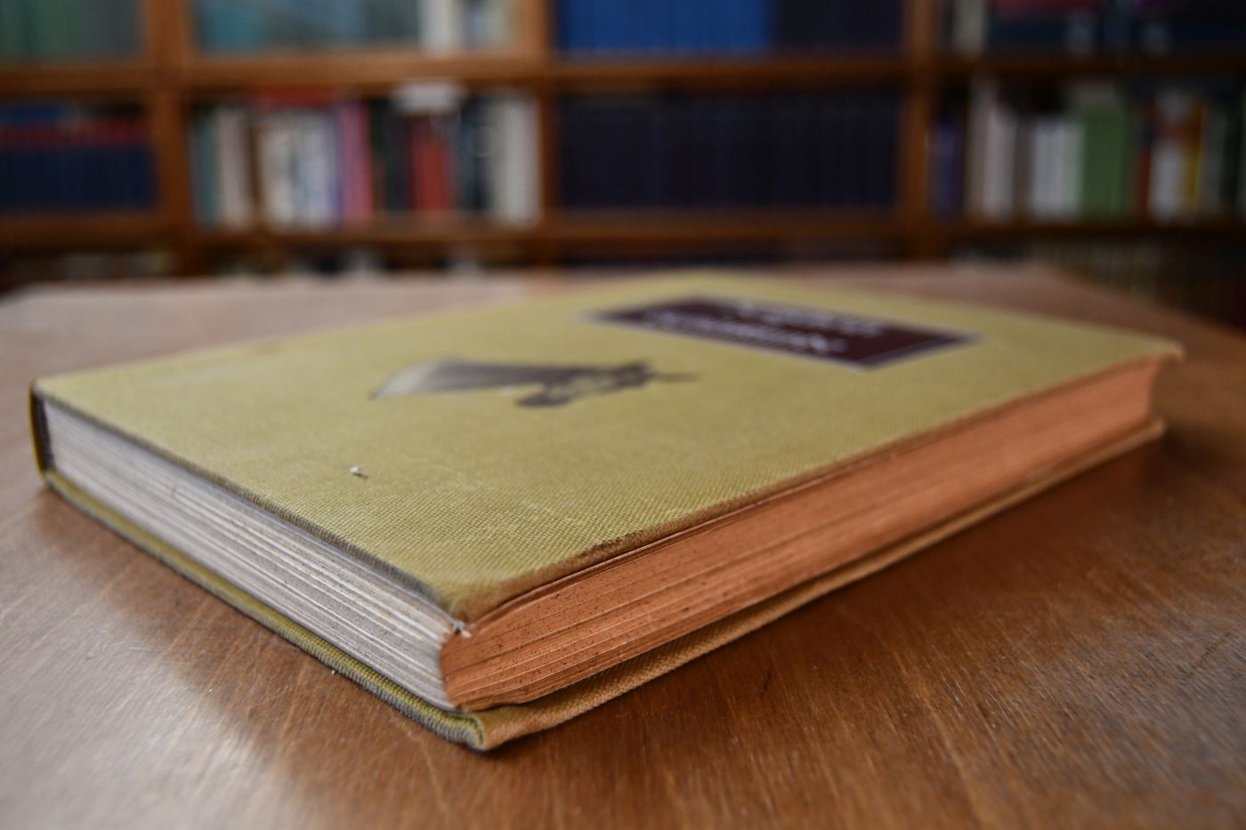 Zeitschrift für Gestütkunde und Pferdezucht. 1. Jahrgang (1906).