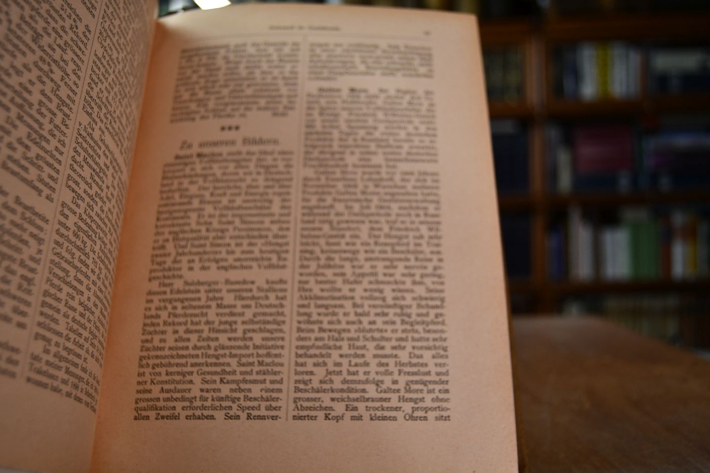 Zeitschrift für Gestütkunde und Pferdezucht. 1. Jahrgang (1906).