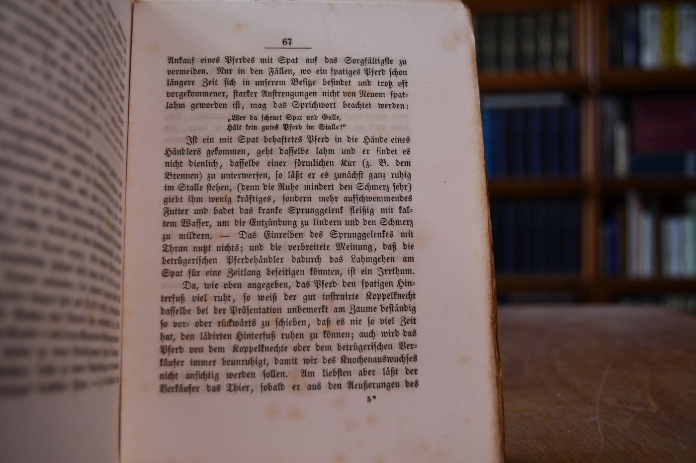 Taschenbuch für Pferdebesitzer jedes Standes. In drei Abtheilungen I. Die Künste und Kniffe betrügerischer Pferdeverkäufer. II. Die Fütterung und Pflege der Pferde im Stalle und beim Gebrauch. III. Die Pflege und Instandhaltung der Hufe vor und nach dem Beschlage und durch denselben.