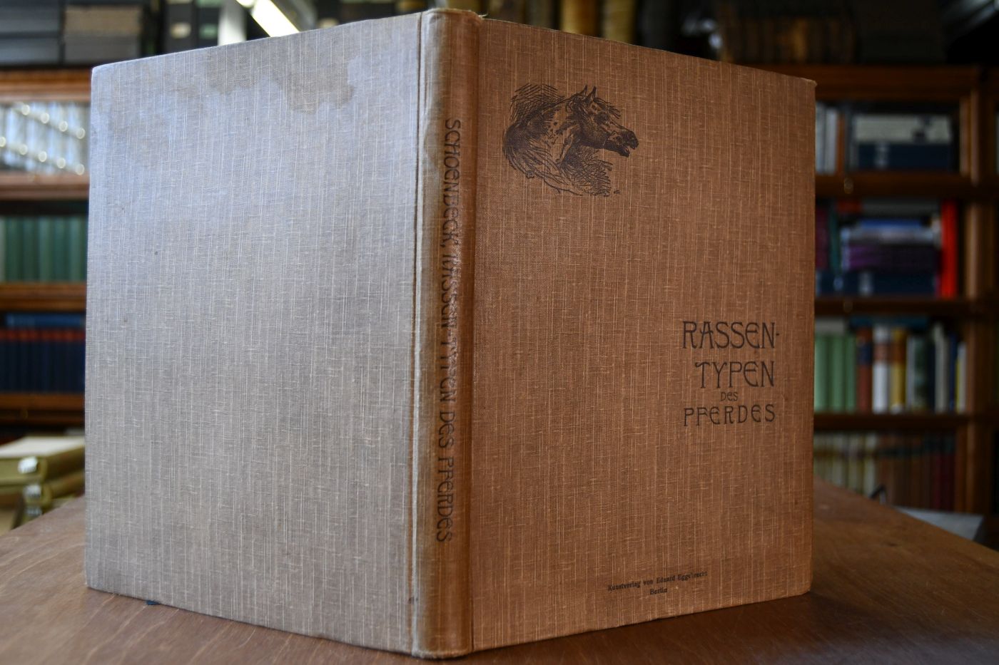 Rassen-Typen des Pferdes - Überblick über die wichtigsten Pferderassen der Erde; Für Pferdezüchter und -Liebhaber, Landwirte, Offiziere, Tierärzte, Künstler und sonstige Interessenten.