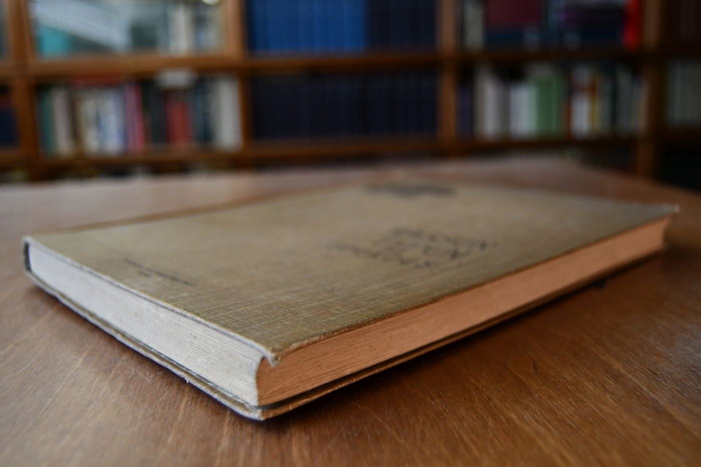 Rassen-Typen des Pferdes - Überblick über die wichtigsten Pferderassen der Erde; Für Pferdezüchter und -Liebhaber, Landwirte, Offiziere, Tierärzte, Künstler und sonstige Interessenten.