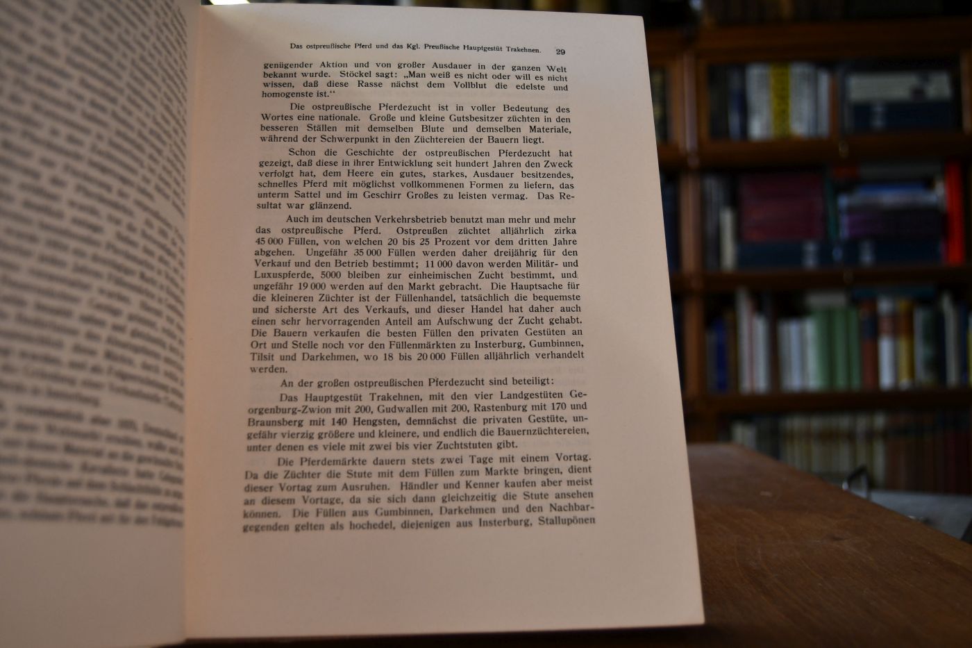 Rassen-Typen des Pferdes - Überblick über die wichtigsten Pferderassen der Erde; Für Pferdezüchter und -Liebhaber, Landwirte, Offiziere, Tierärzte, Künstler und sonstige Interessenten.