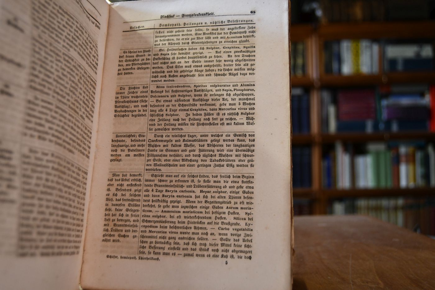 Homöopathische Thierheilkunst. Ein ganz eingenthümlich eingerichtetes und dadurch sehr leicht fasslich und schnell Rath gebendes Hülfsbuch für jeden Viehbesitzer zunächst aber für den bei vorkommenden Viehkrankheiten meist ohne Rath und Hülfe darstehenden Landmann, wonach seine Pferde, Rinder, Schafe, Schweine und Hunde auf die einfachste, schnellste, sicherste und wohlfeilste Art auf homöopathischen Wege selbst heilen und worin er vieles Wissenswerthe in Bezug auf diese Thiere erfahren kann.