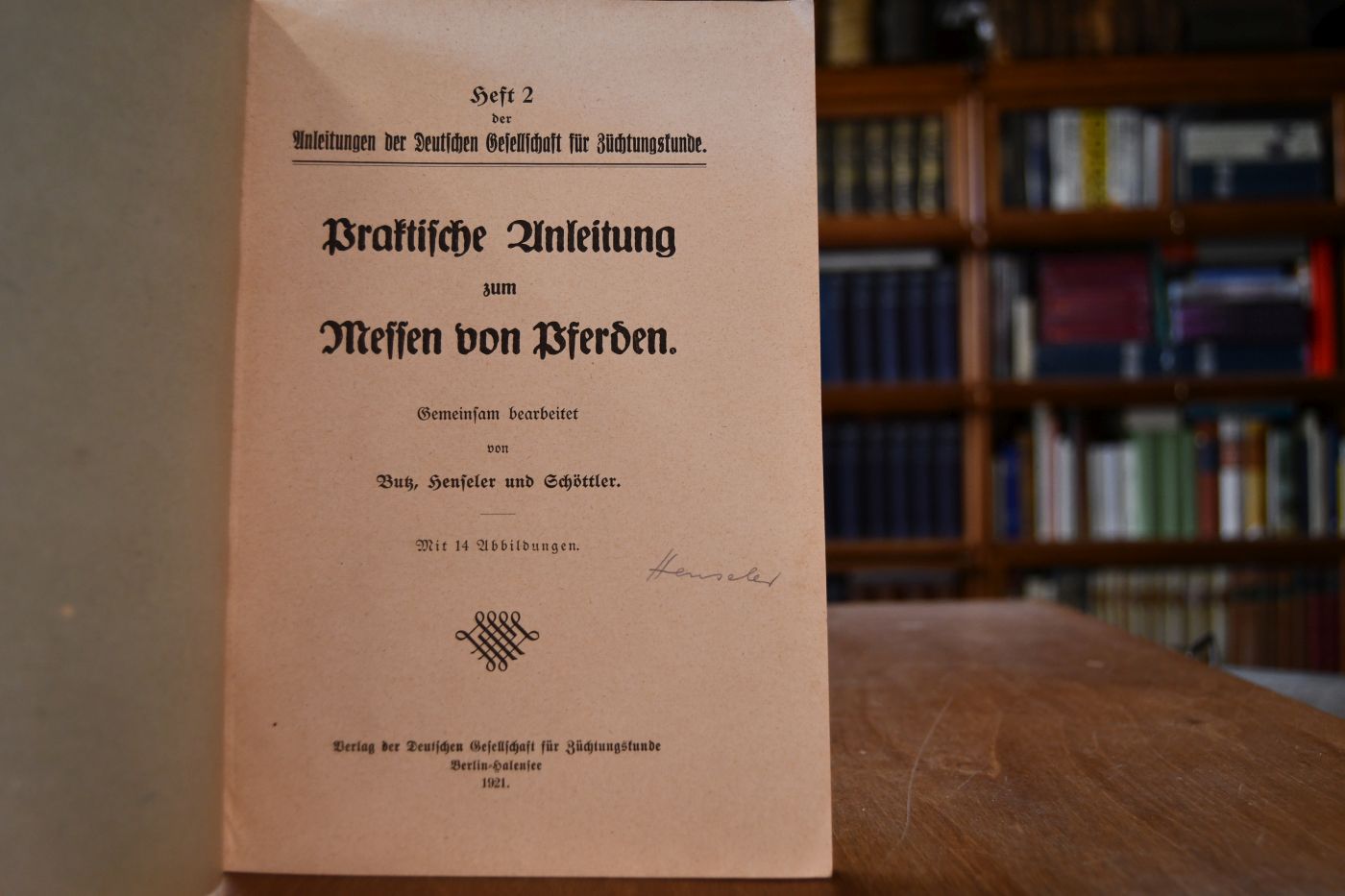 Praktische Anleitung zum Messen von Pferden.