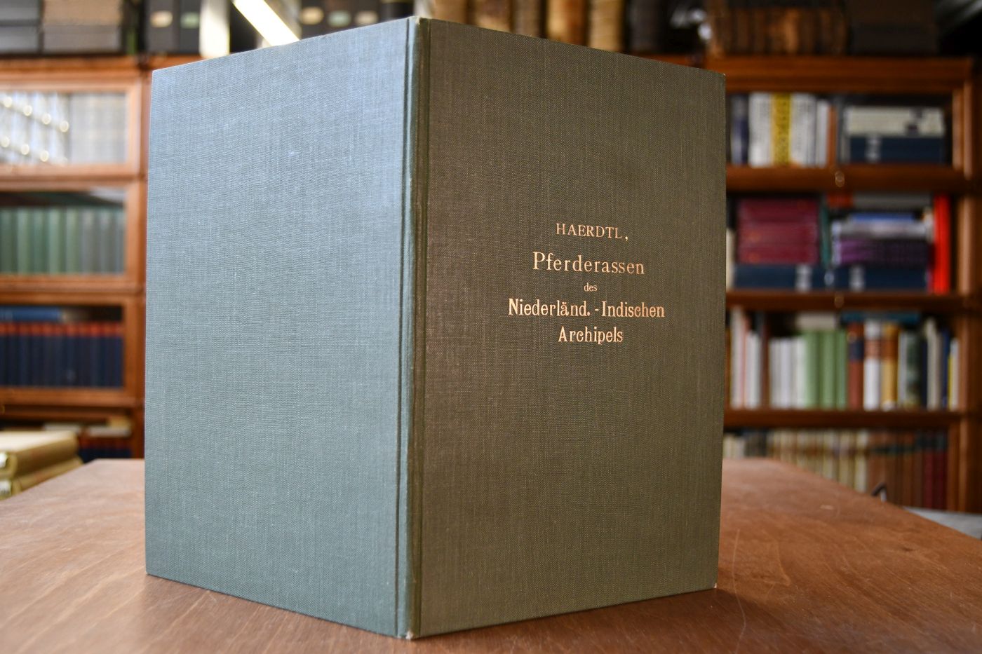 Die Pferderassen des Niederländisch-Indischen Archipels.