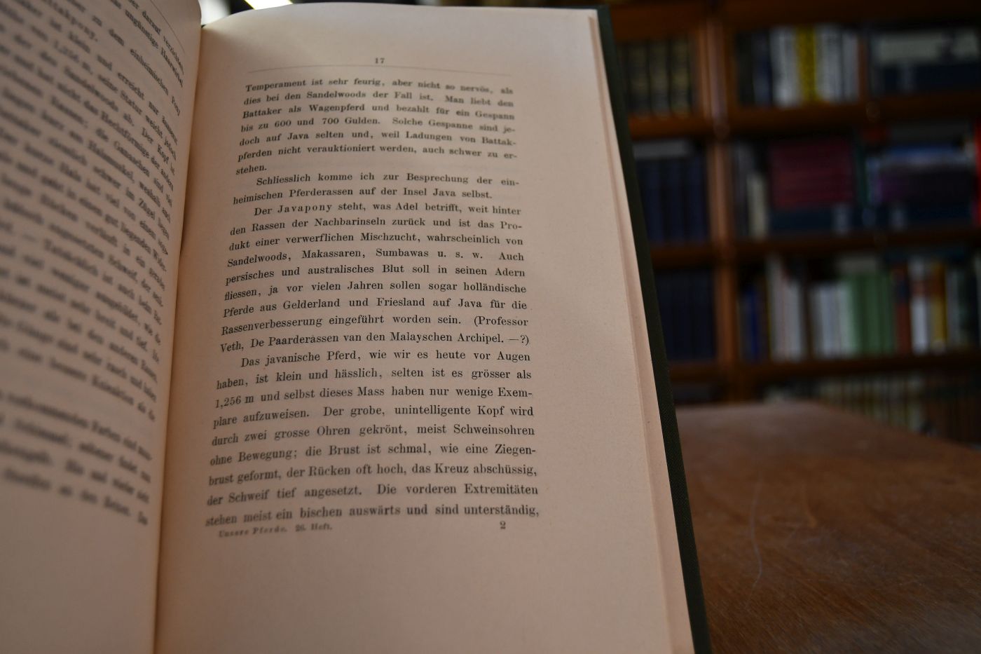 Die Pferderassen des Niederländisch-Indischen Archipels.