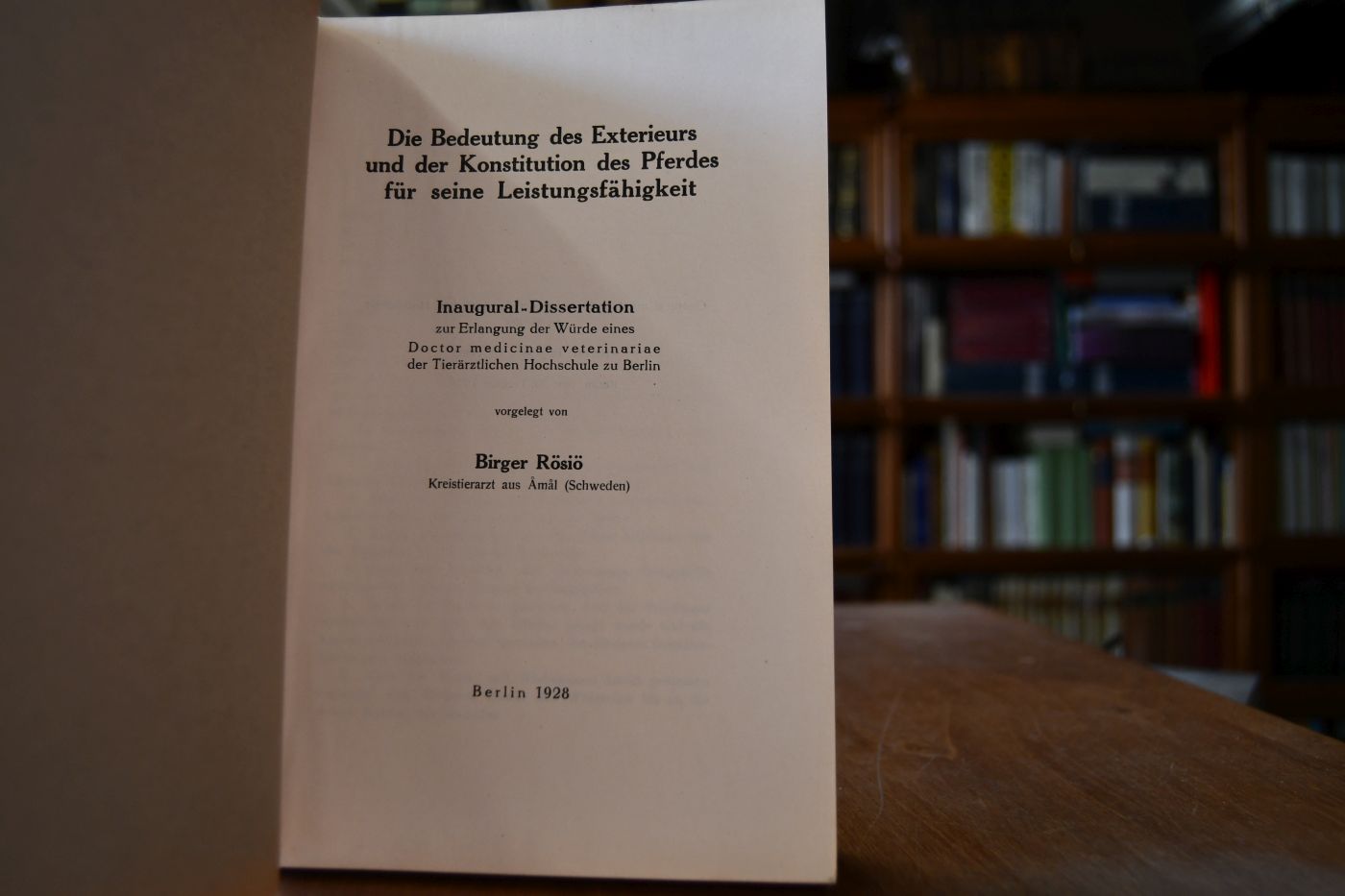 Die Bedeutung des Exterieurs und der Konstitution des Pferdes für seine Leistungsfähigkeit.