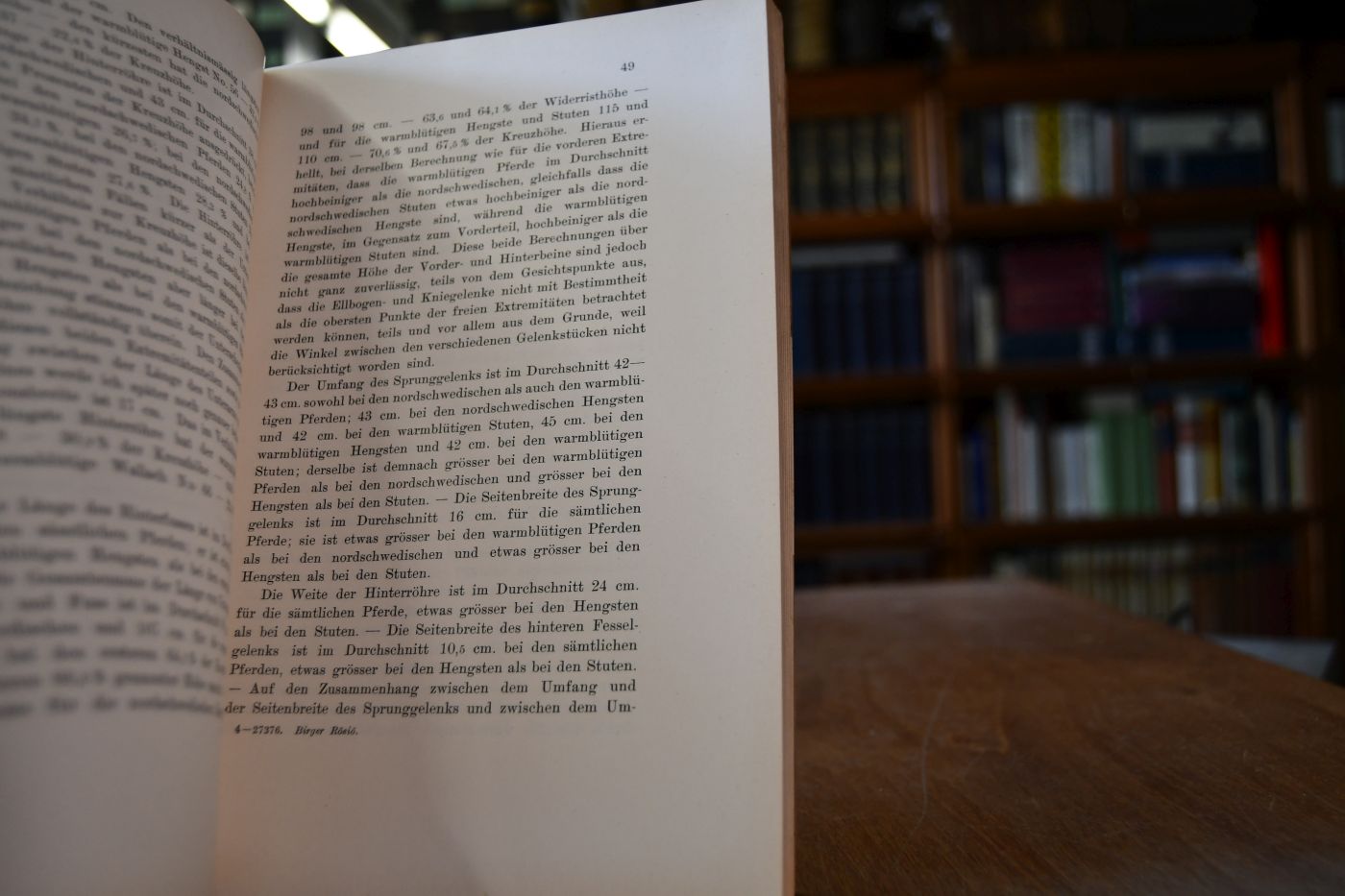 Die Bedeutung des Exterieurs und der Konstitution des Pferdes für seine Leistungsfähigkeit.
