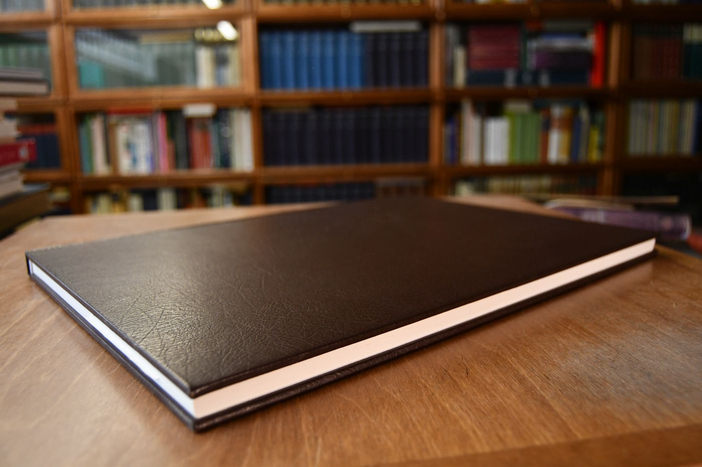 Biberacher Blechspielzeug. Musterbücher der Firma Rock und Graner aus der Zeit um 1875.