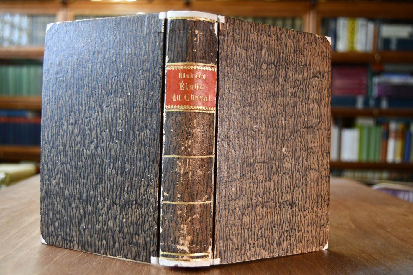 Etude du cheval de service et de guerre suivant les principles élémentaires des sciences naturelles. Haras, courses, types reproducteurs, amèlioration des races, vices rédhibitoires, etc.
