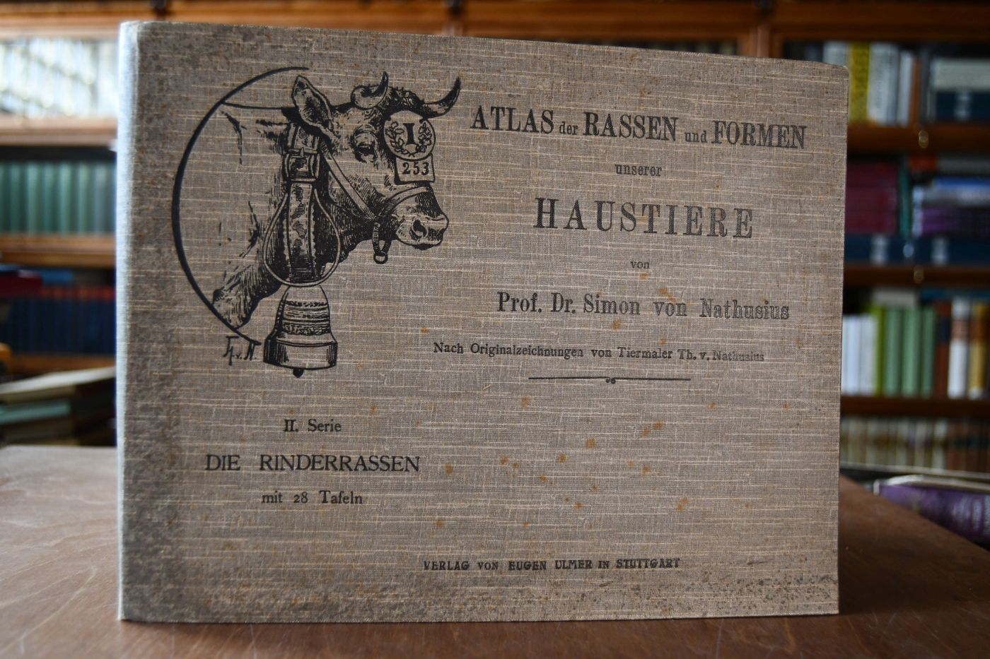 Atlas der Rassen und Formen unserer Haustiere. Serie II. Die Rinderrassen.