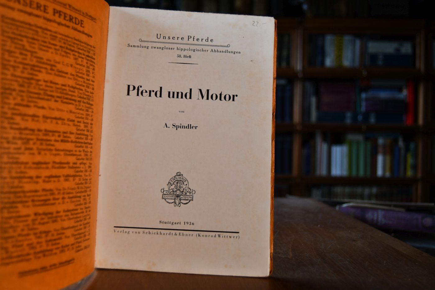 Pferd und Motor.