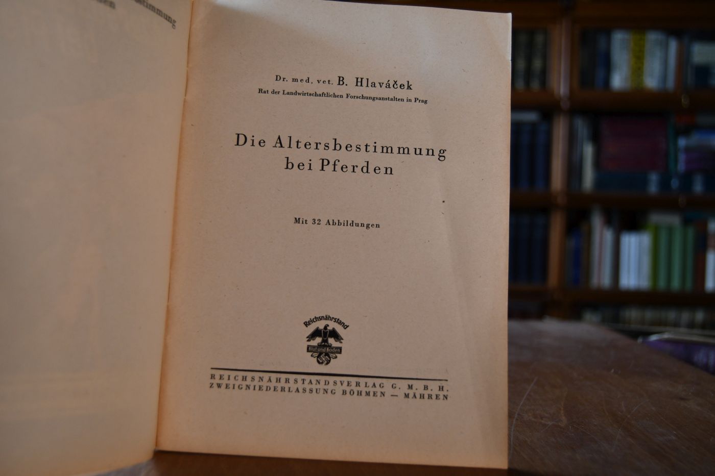 Die Altersbestimmung bei Pferden.