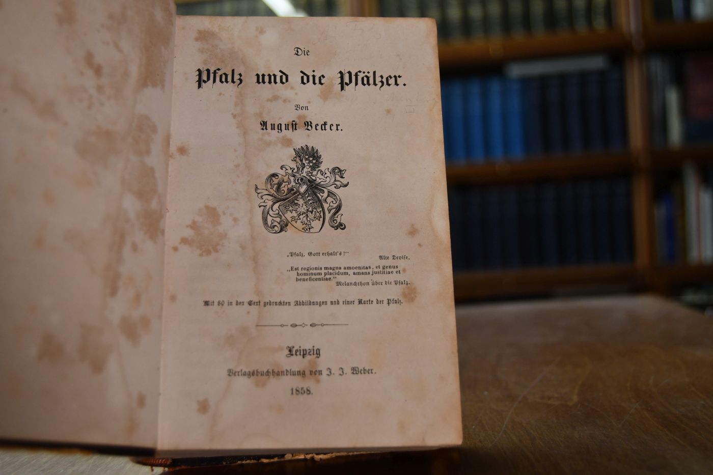 Die Pfalz und die Pfälzer.