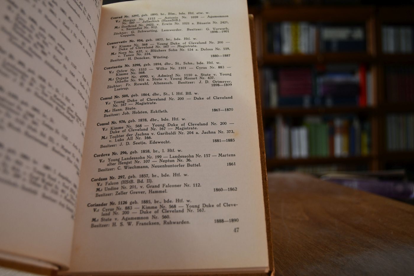 Alphabetisches Hengstregister 1806-1937.