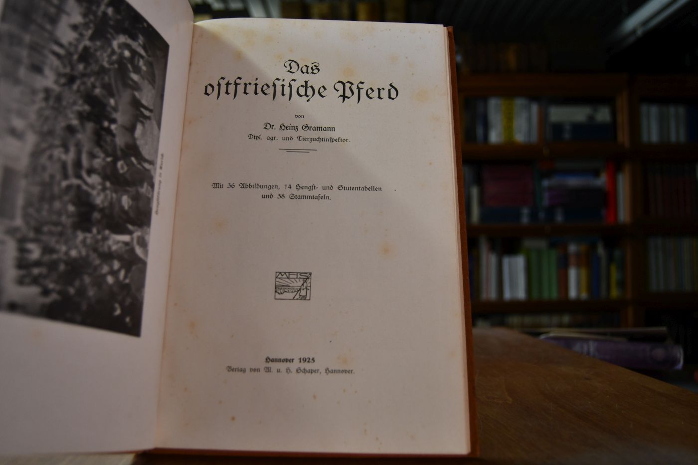 Das ostfriesische Pferd.
