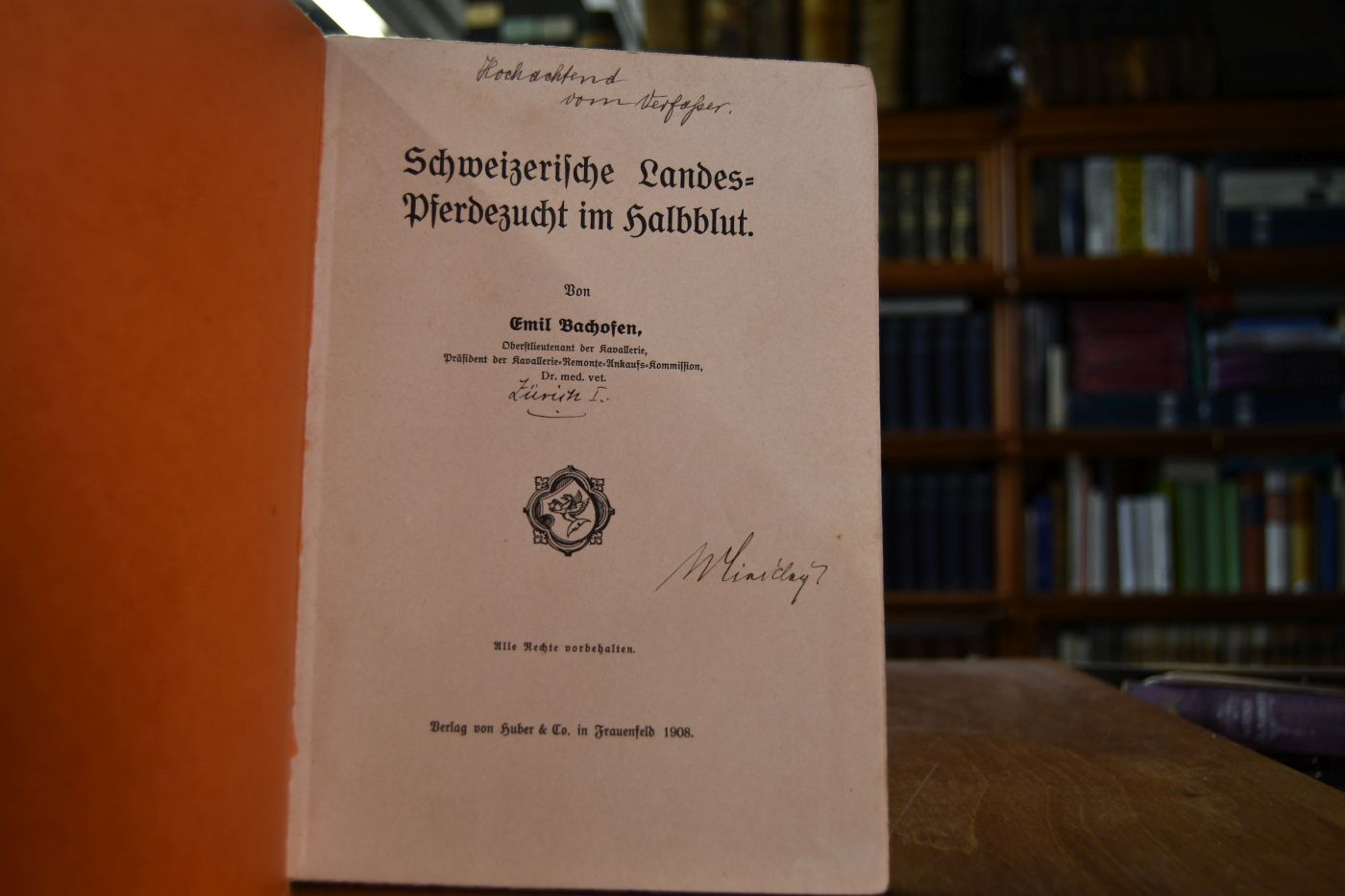 Schweizerische Landes-Pferdezucht im Halbblut.