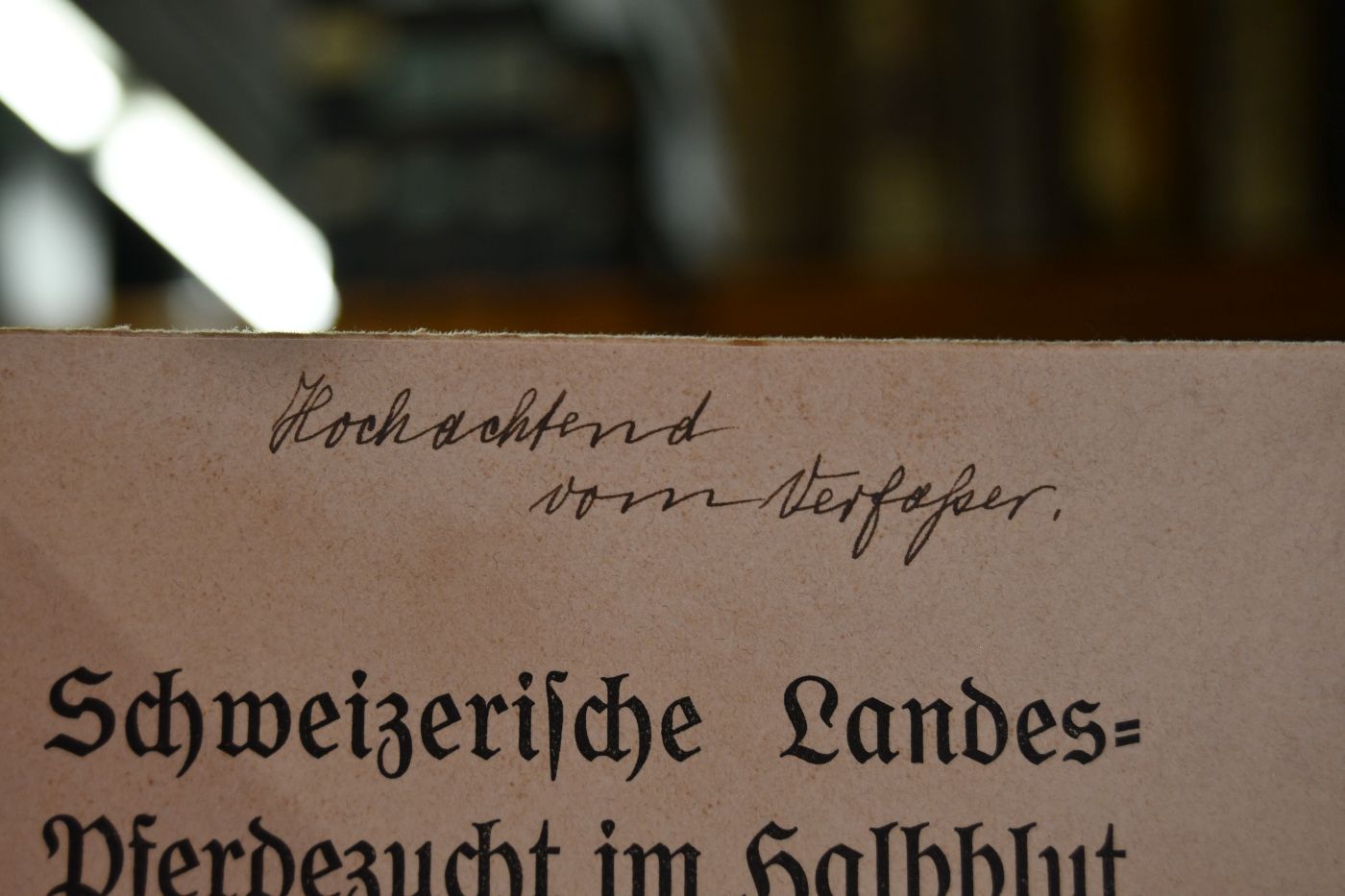 Schweizerische Landes-Pferdezucht im Halbblut.