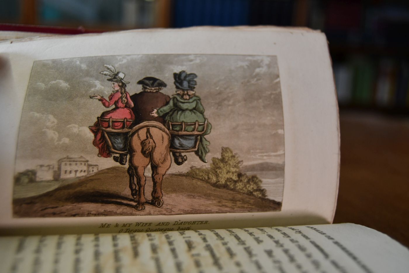 Academy for grown Horsemen, containing Instructions for Walking, Trotting, Cantering, Galopping, Stumbling, Tumbling.