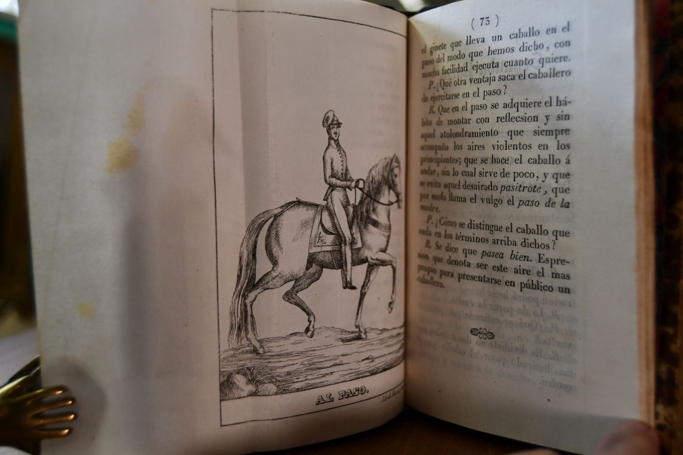 Elementos de Equitation, o Verdaderos Principos de la EWscuella de a Caballo. Para el uso de los caballeros y damas que deseen aprender tan noble como honesto y util ejercicio.