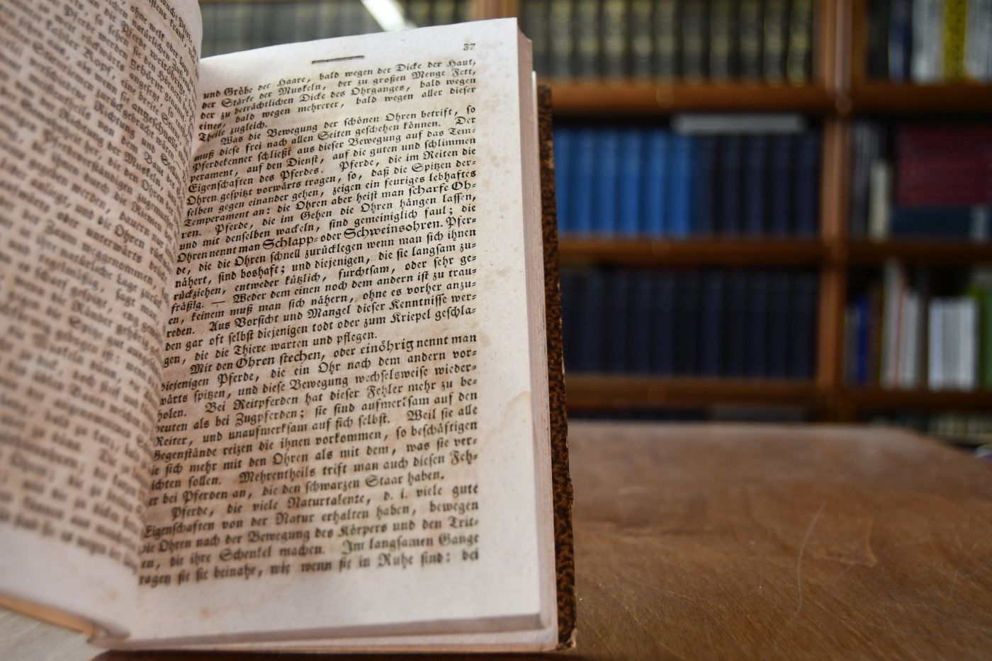 Praktisches Handbuch für Pferdeliebhaber und Pferdehändler, die äußere Bildung, Schönheit, Güte, Fehler, Mängel, u.s.w. der Pferde selbst beurtheilen und verbessern zu können von **l