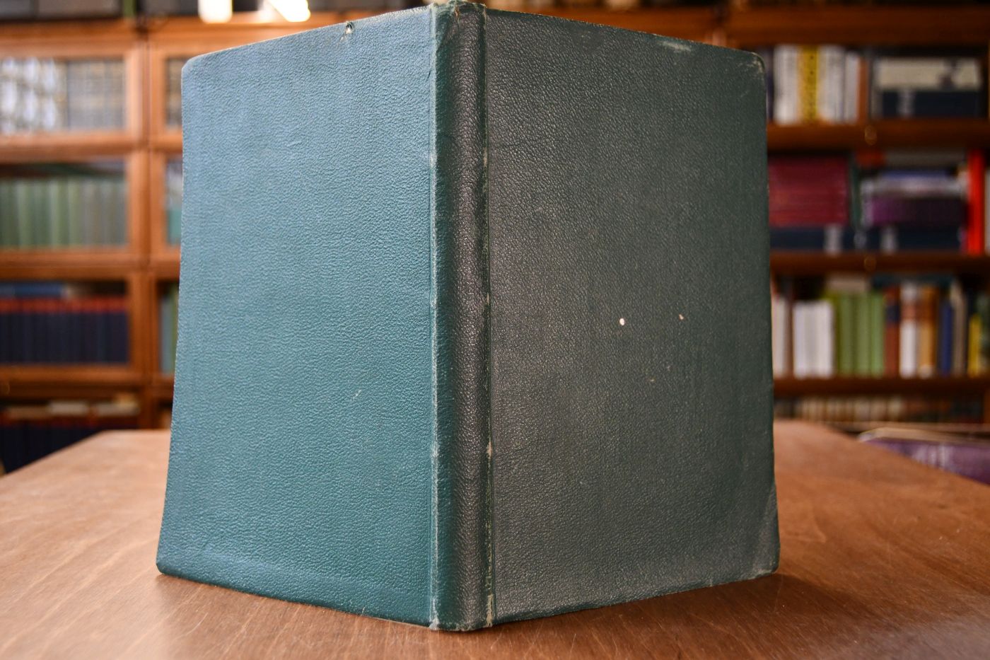 Neue Reiter-Predigten. Vergleichende Rückblicke auf einige Vorschriften der alten Reit - Instruction und die Grundsätze einer wissenschaftlich begründeten Reitkunst.