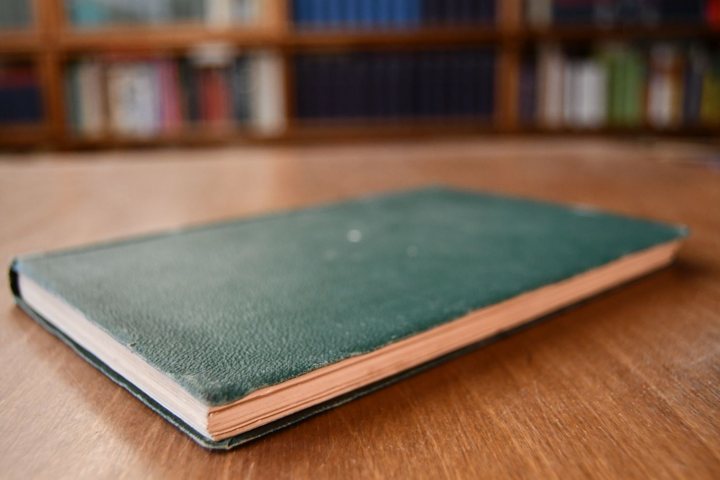 Neue Reiter-Predigten. Vergleichende Rückblicke auf einige Vorschriften der alten Reit - Instruction und die Grundsätze einer wissenschaftlich begründeten Reitkunst.