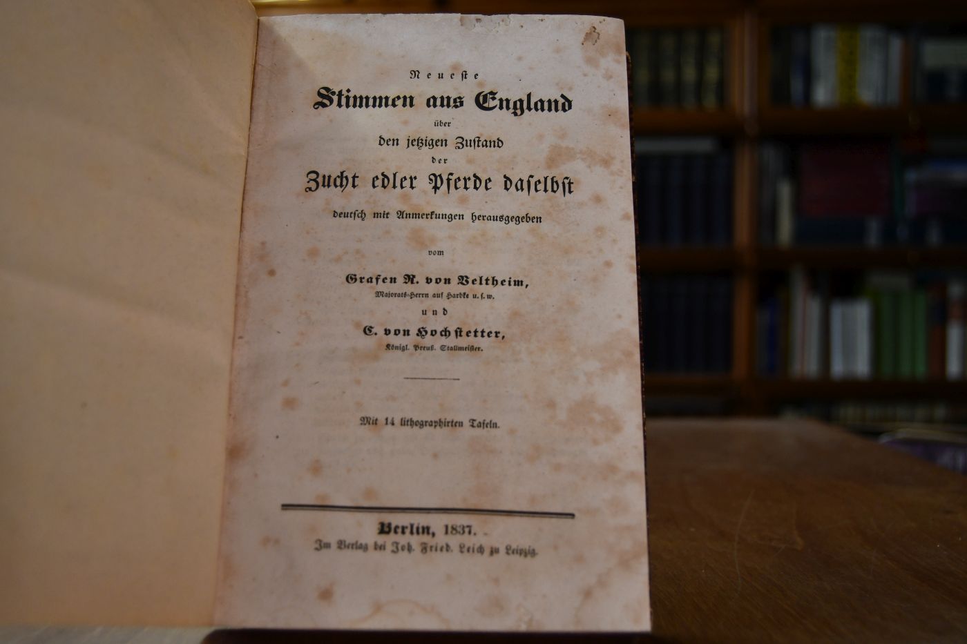 Neueste Stimmen aus England über den jetzigen Zustand der Zucht edler Pferde daselbst.